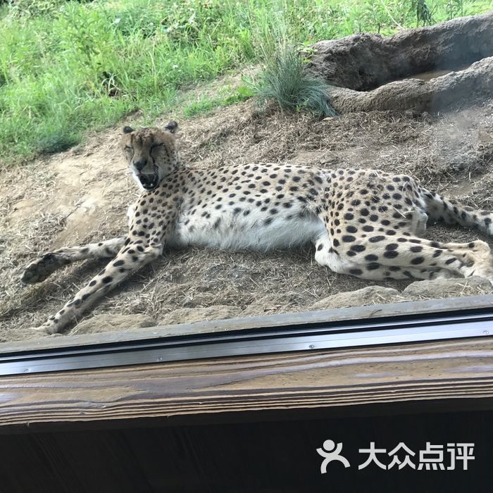 横滨zoorasia动物园