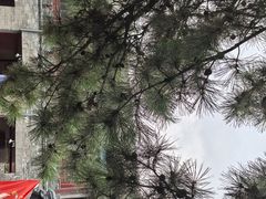 -鼎盛王朝康熙大典实景演出