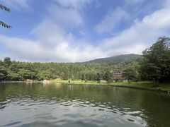 -武陵山森林公园