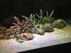 -暹罗海洋世界