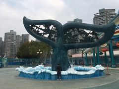 -海合安成都极地海洋公园