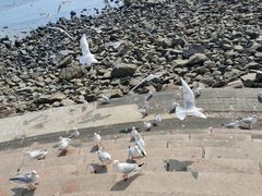 -海合安青岛极地海洋公园
