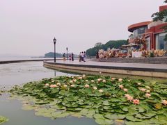 -水上明月·湖景餐厅