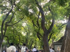 -北京国子监胡同