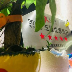 -本真坊美容美体沙龙