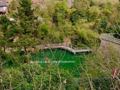-大罗山风景区