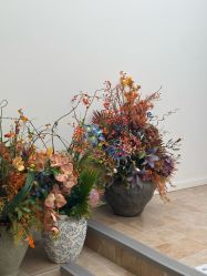 -WAVE SODA摄影工作室