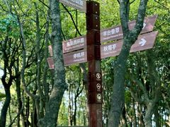 -阳台山森林公园