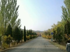 -乌素图国家森林公园