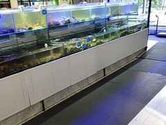 -四海蒸鲜蒸汽海鲜自助(北戴河店)
