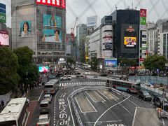 -涩谷区
