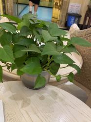 -北京俪婴妇产医院(朝阳大悦城店)