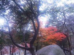 -崂山巨峰游览区
