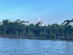 -东寨港红树林旅游区