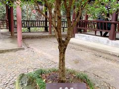 -太湖源风景区