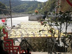 玉米饼-诸暨市岭北镇仕新农庄