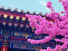 -西安市广仁寺