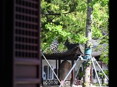 -苏州文庙(姑苏区)
