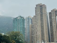 -星光大道
