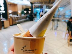 焦糖海盐饼干-LUNEURS月乐诗·法式冰淇淋(环贸店)