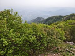 -阳台山自然风景区