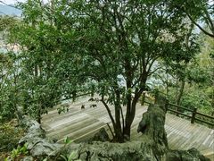 -千岛湖东南湖区