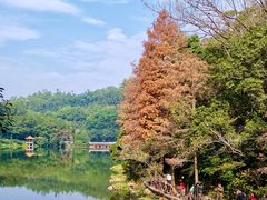-深圳仙湖植物园