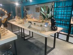 -Trend1881视光·蔡司视觉(领展广场店)