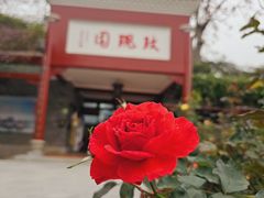 -宝墨园景区