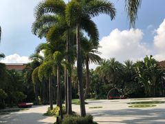 -厦门日月谷温泉渡假村