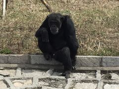 -哈尔滨北方森林动物园