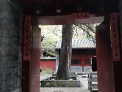 -仙居谷风景区