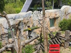 -青藏高原野生动物园