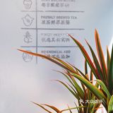 五一新品云朵草莓🍓，一口吃掉春天！