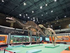 -国家自然博物馆