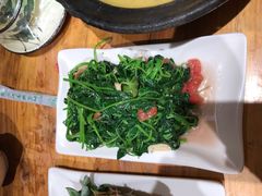 -老滇山寨•云南特色菜•地方菜•民族风情歌舞表演(金碧店)