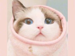 -AdD全日制餐厅(中谷花园酒店)