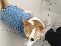 -怪兽屋·羊驼·猫咖·狗咖(俊华广场店)