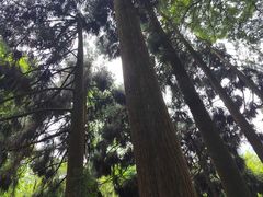 -青城山