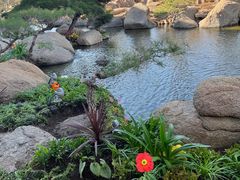 -罗红摄影艺术馆