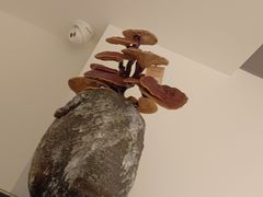 -HOMES上海本帮菜(襄阳公园店)