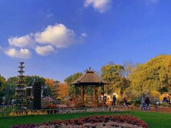 -上海共青森林公园