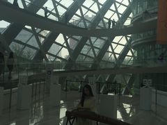 -凤凰中心