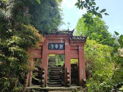 -碧峰峡风景区