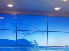 -山河屯铁锅炖鲜鹅·东北菜(开发区一店)