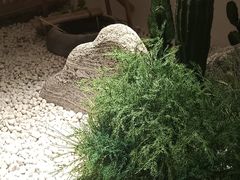 -快乐大桶水养生足浴SPA(前兴路店)