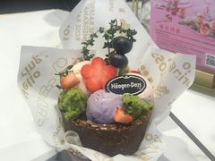掌心花园plus&nbsp;&nbsp;外带冰淇淋-哈根达斯(SM店)