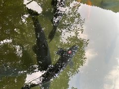 -杭州植物园