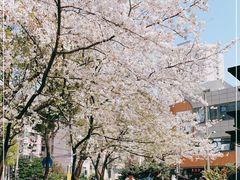 -玛格萝妮比萨屋(四平店)
