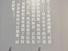 -北京鲁迅博物馆(北京新文化运动纪念馆鲁博馆区)